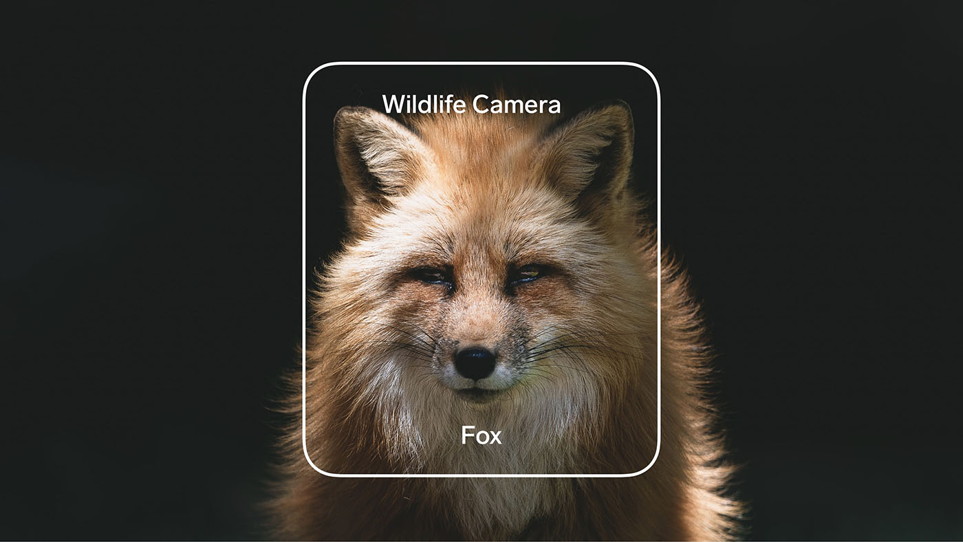Train a wildlife classifier using camera source selection.